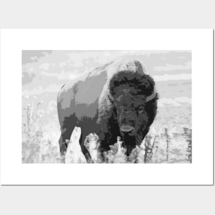 Wild Buffalo - American Bison Posters and Art